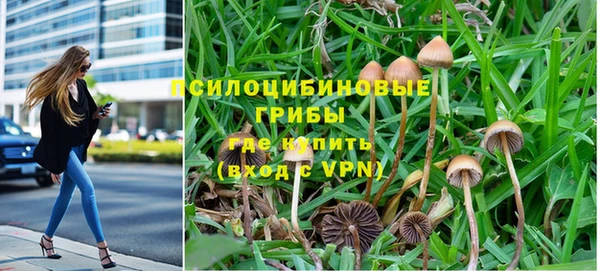 трава Богородск