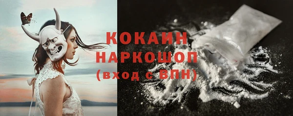 спайс Бородино