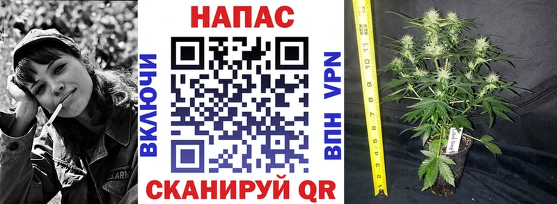закладки  МЕГА маркетплейс  Каннабис VHQ  Уссурийск 